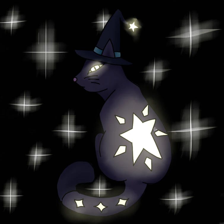 Diamondsea's art cute black cat with a shiny star on its back for Wiztober